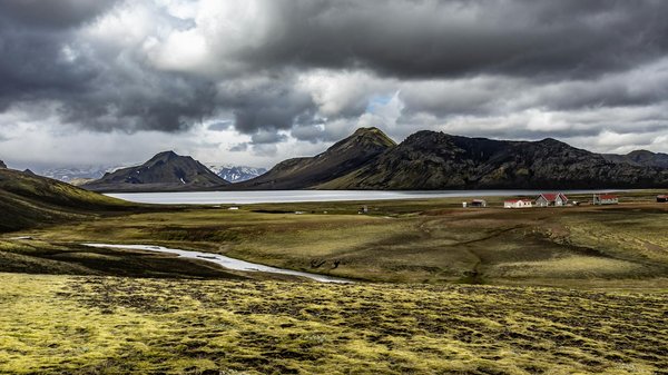 Thermomètre infrarouge en marque blanche : la solution idéale