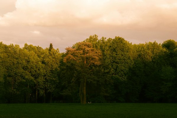Fortifiez Votre Dos : Une Approche Révolutionnaire pour Prévenir les Douleurs Lombaires chez les Aînés