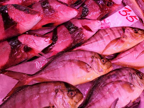 Dites Adieu aux Compléments de Perte de Poids : Découvrez Pourquoi Vous Devez Arrêter Maintenant